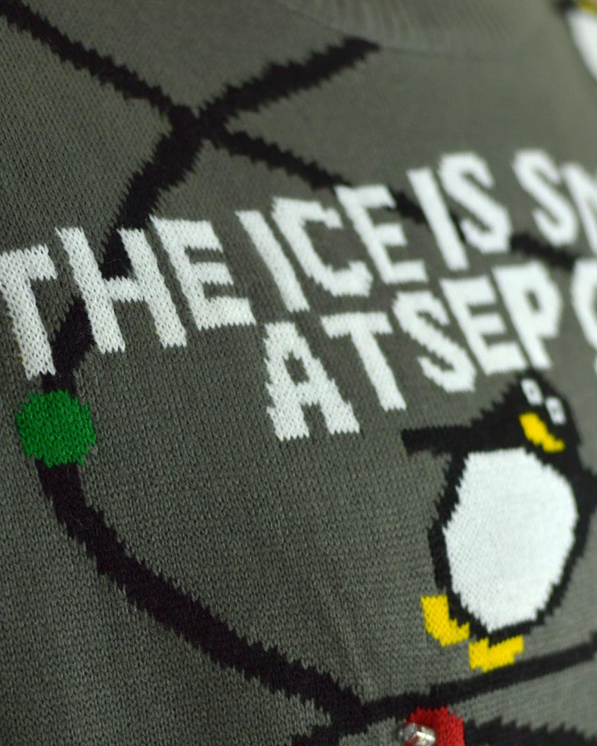 Suéter de Navidad con Luces LED para Niña y Niño con Pingüinos Detalle