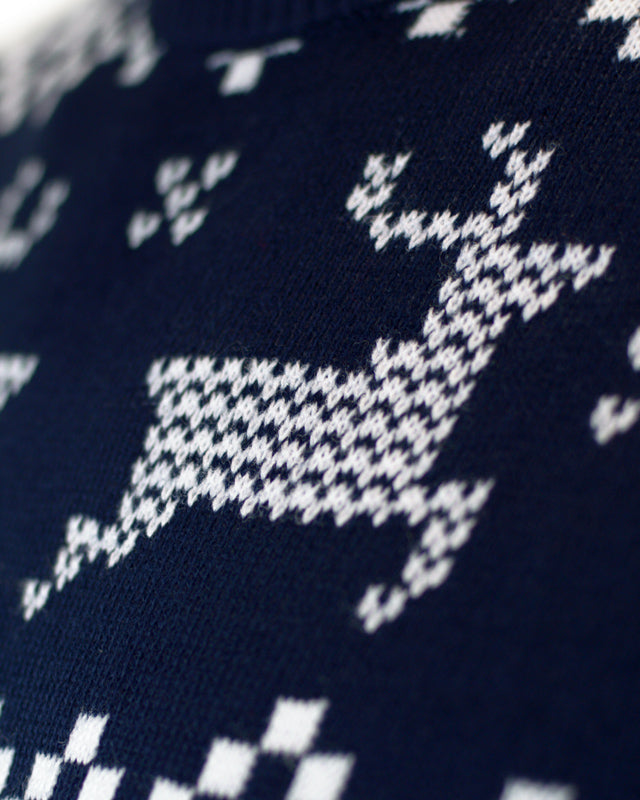 Suéter de Navidad para Niña y Niño Azul Polo Norte reno