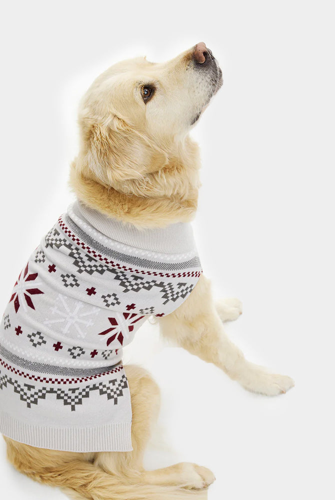 Suéter de Navidad para Perros Gris Estrellas Polares