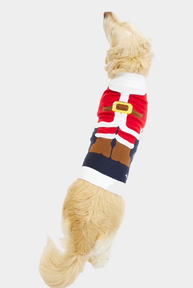 Suéter de Navidad Perros Traje Santa