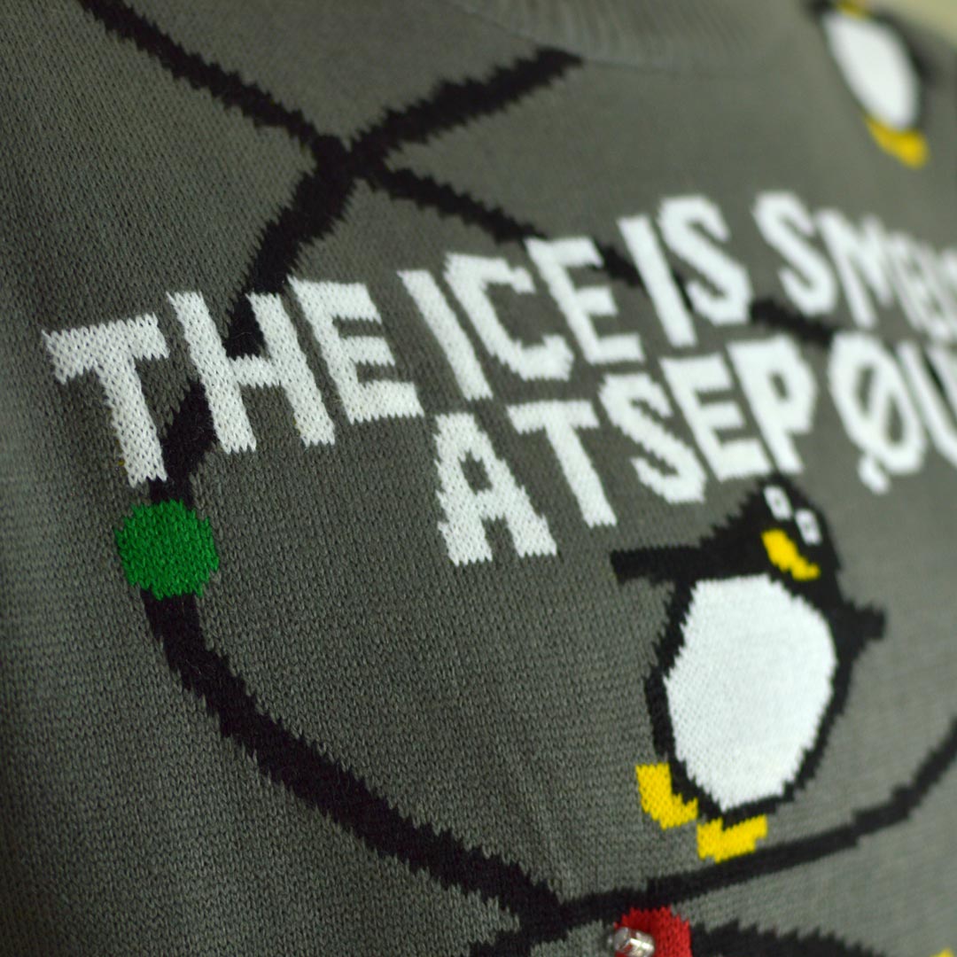 Suéter de Navidad de Luces LED para Familia Gris con Pingüinos Detalle